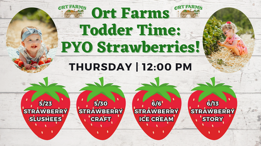 Toddler Time - PYO Strawberries!