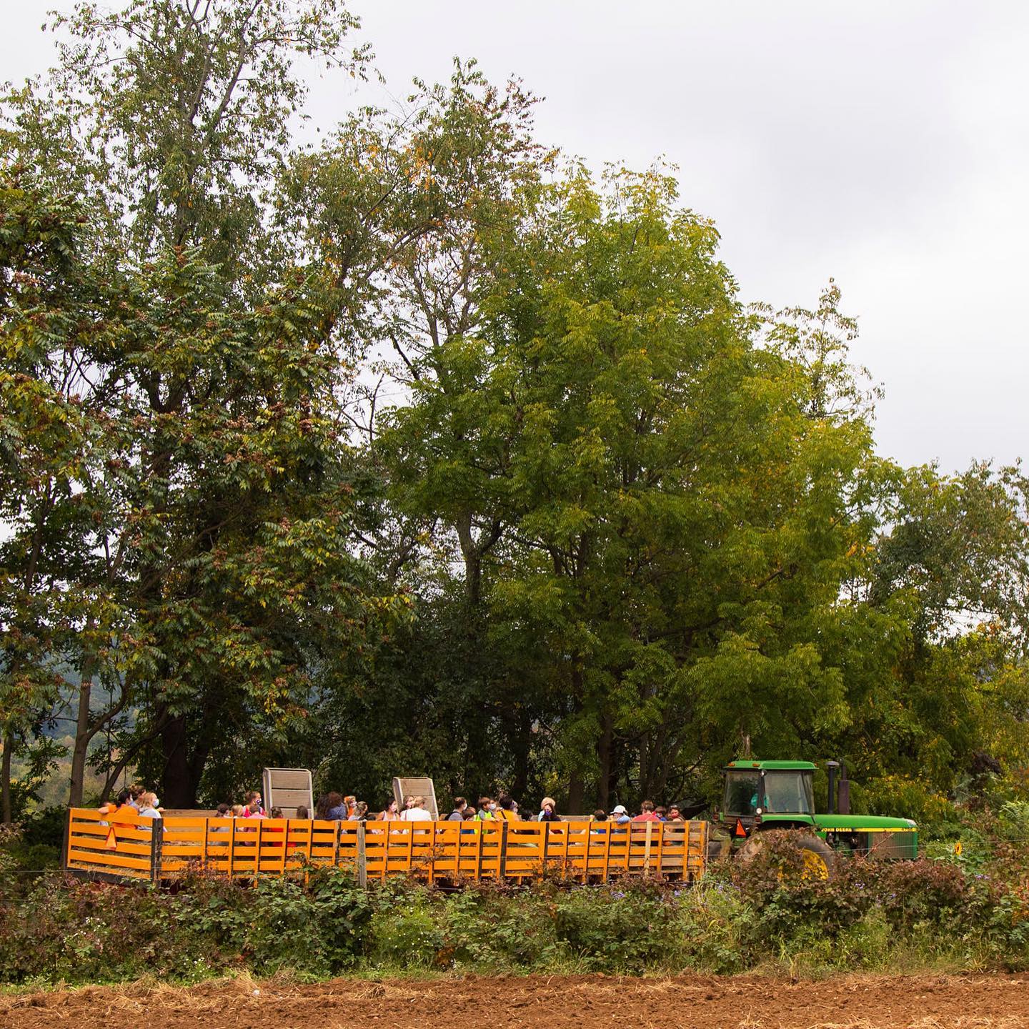 Birthday Party: Hayride Add on