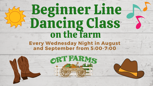 Beginner Line Dancing Class