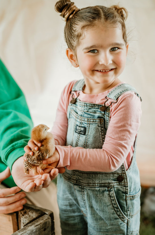 Baby Animal Field Trip