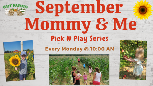 September Mommy & Me 2025- Pick N Play