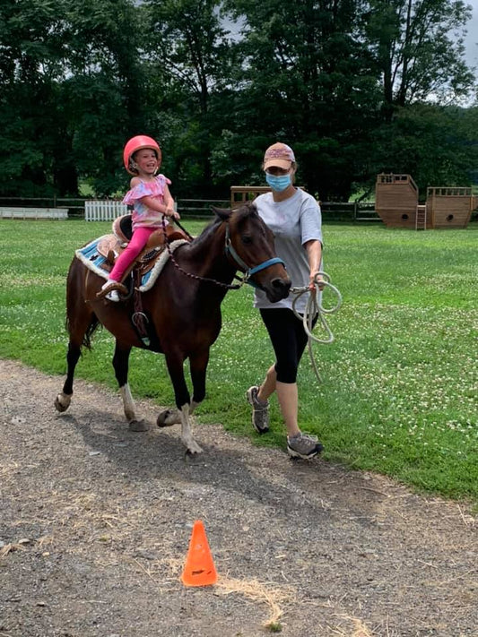 Birthday Party: Pony Ride Add On