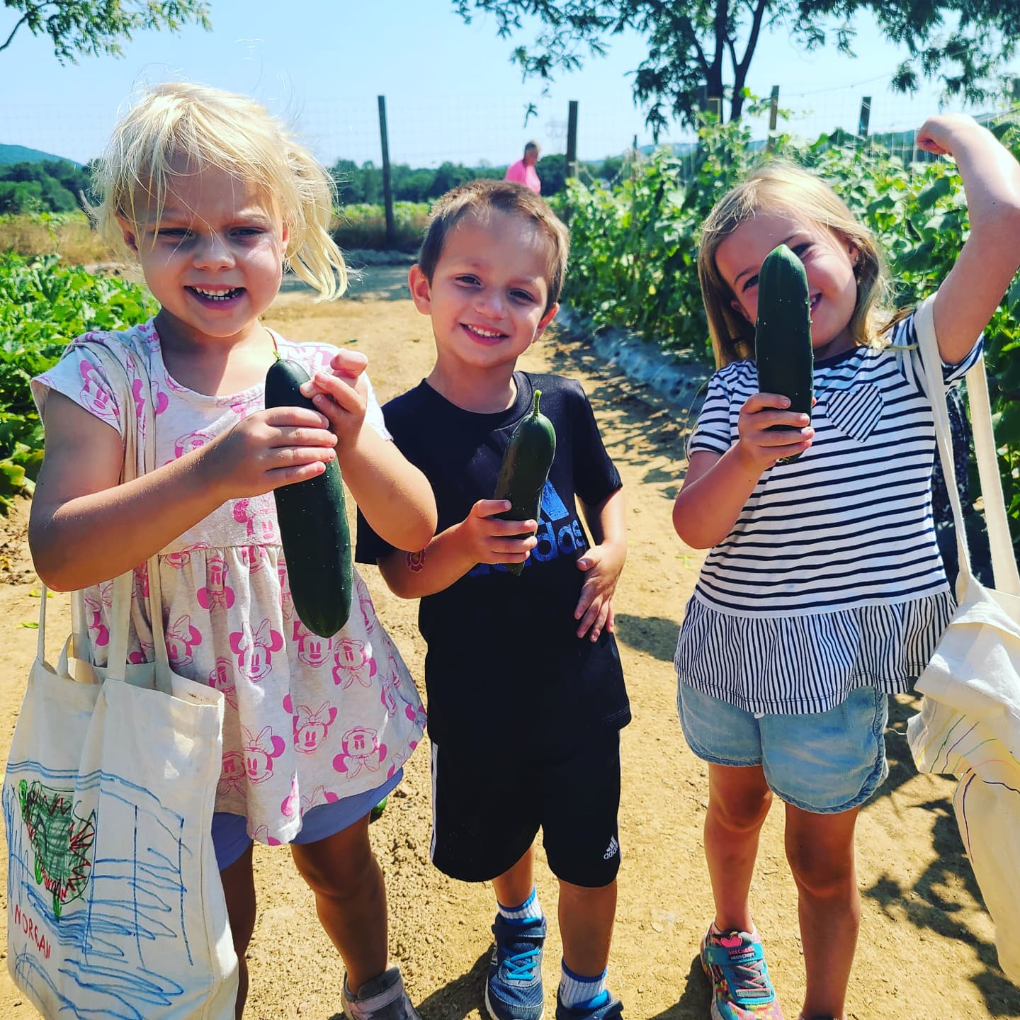 PYO Strawberry Field Trip