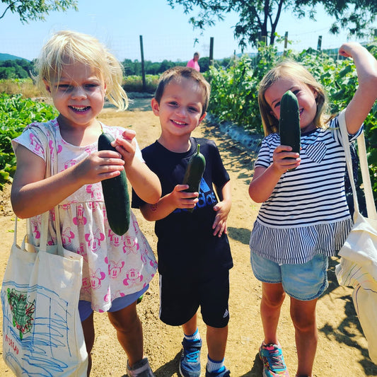 PYO Strawberry Field Trip