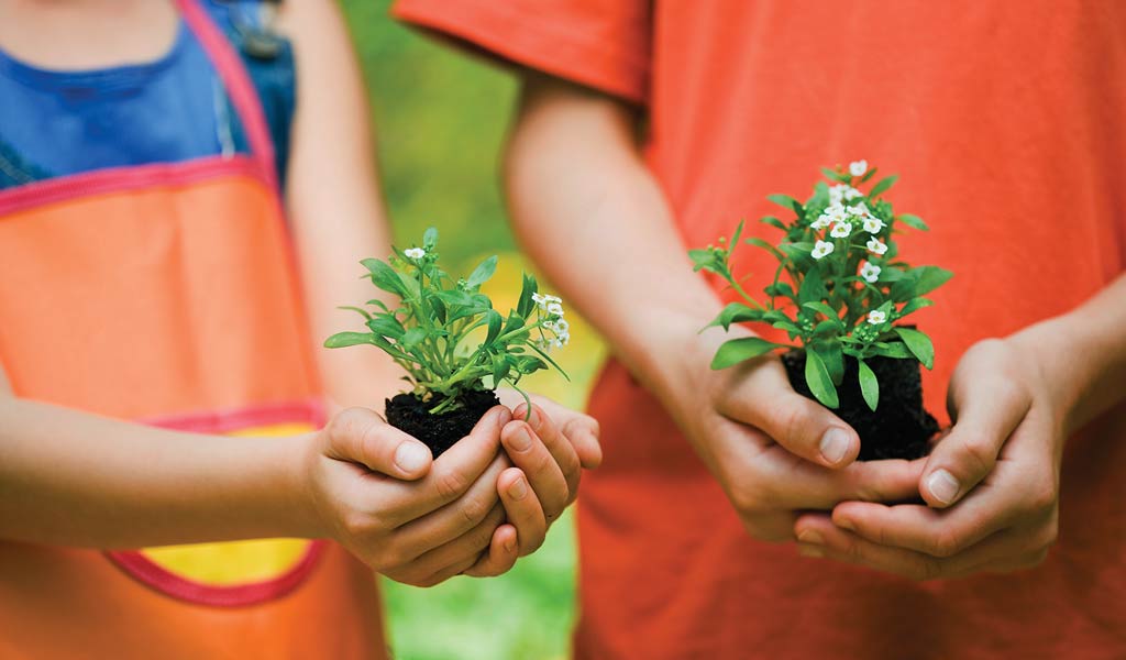 Little Gardener Party Remaining Balance
